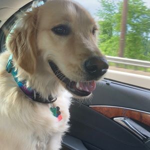 Meet your Posher, Victoria